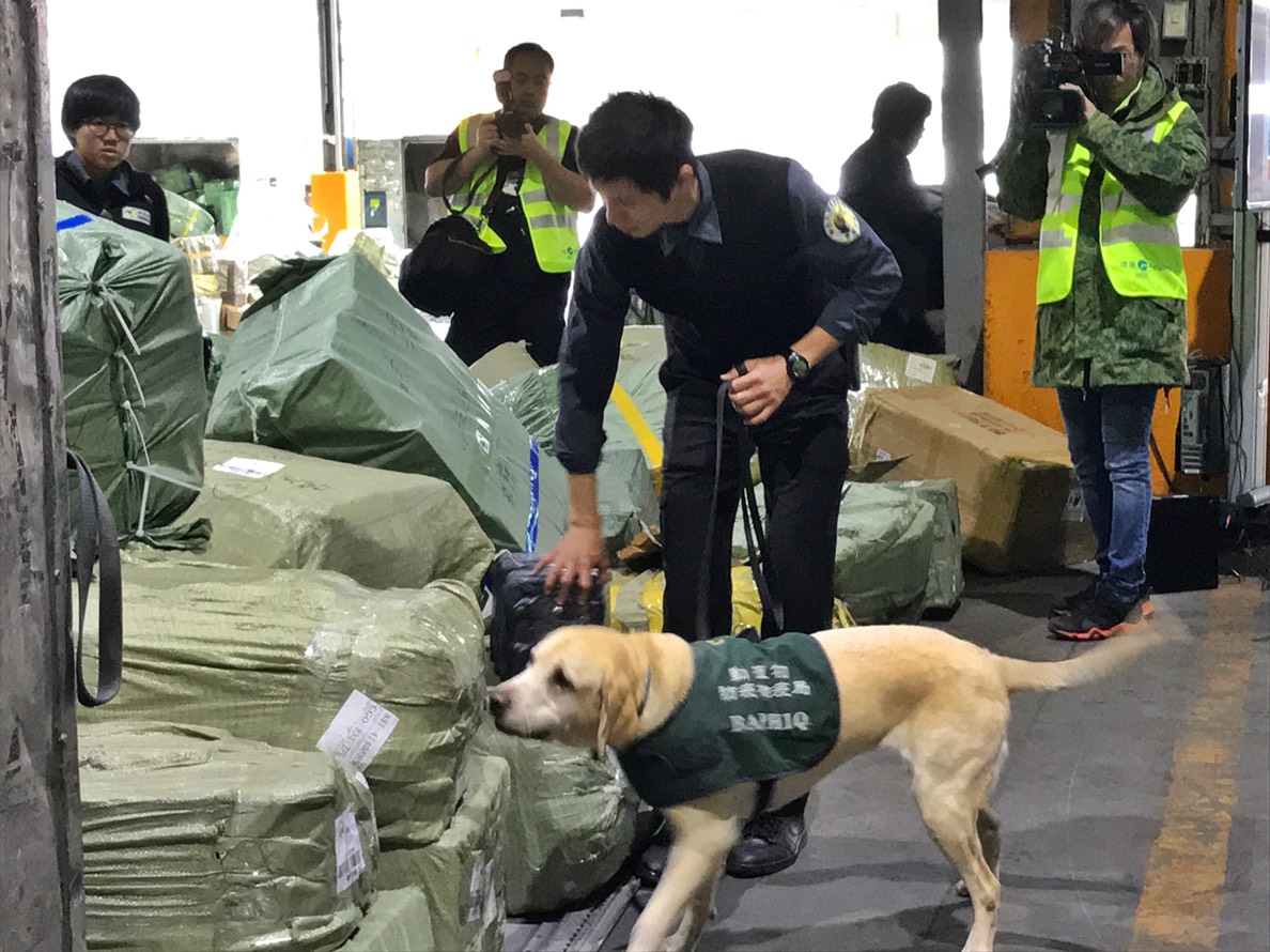 檢疫犬偵測快遞貨物。資料照，防檢局/提供