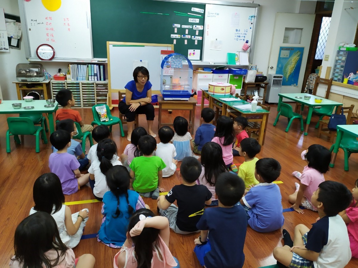 老師向學生介紹新來的小鸚鵡「綠綠」。新北市動保處/提供