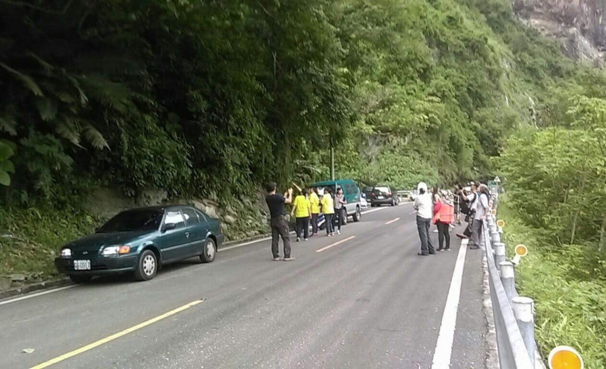 大批遊客湧入,恐危及小熊安全。花蓮林管處/提供
