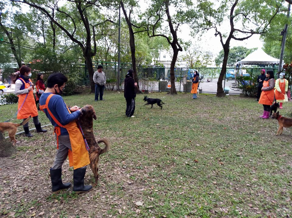 台北市動物之家志工須接受遛狗技巧課程以一連串訓練，才能接受實習、最後成為專業志工。台北市動保處/提供