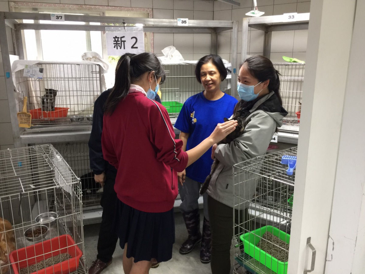 貓乖乖地趴在學生身上。新北市動保處/提供