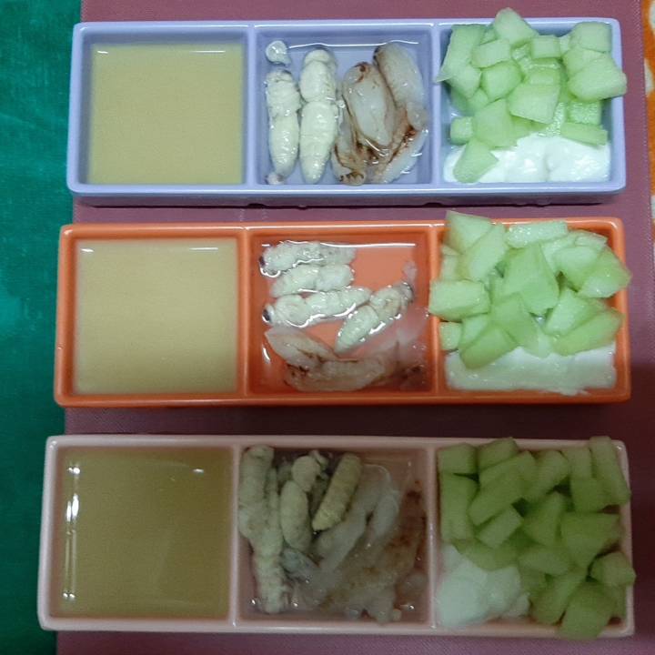 蜜袋鼯屬於雜食性動物，主食為果實、蔬菜、花蜜、樹汁及哈密瓜等等，也需要吃昆蟲、瘦肉等肉食以攝取蛋白質。新北市動保處/提供