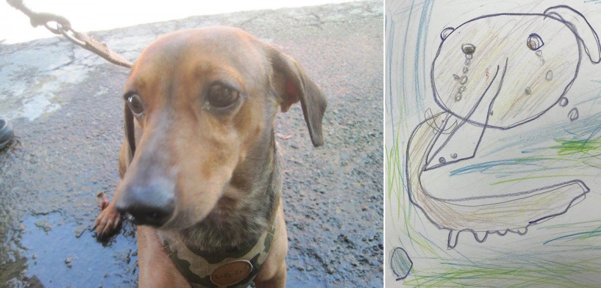 新市國小1年級的小君的畫作與留言：「我想把這隻狗取名做小黑。親愛的小黑，我覺得你的眼睛看起來好像在哭，你是不是很想早點離開這裡？希望有好心人可以給你一個暖的家。」淡水動物之家/提供