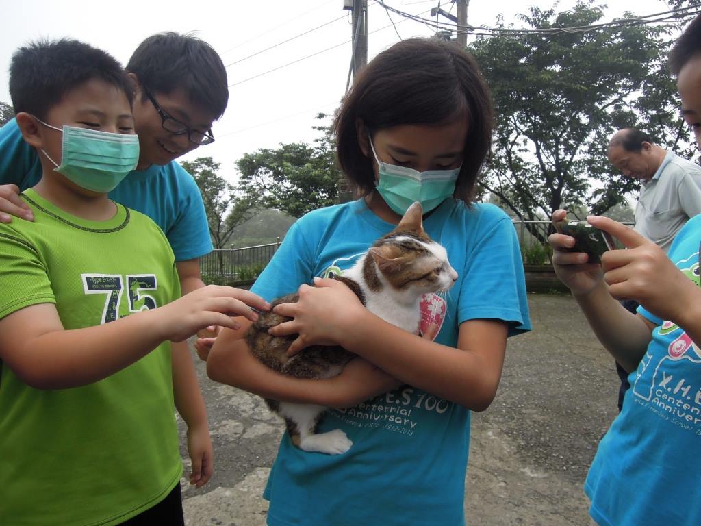 新北市動保處鼓勵民眾認養犬貓，若要購買犬貓應選擇經動保處許可的合法業者。新北市動保處/提供