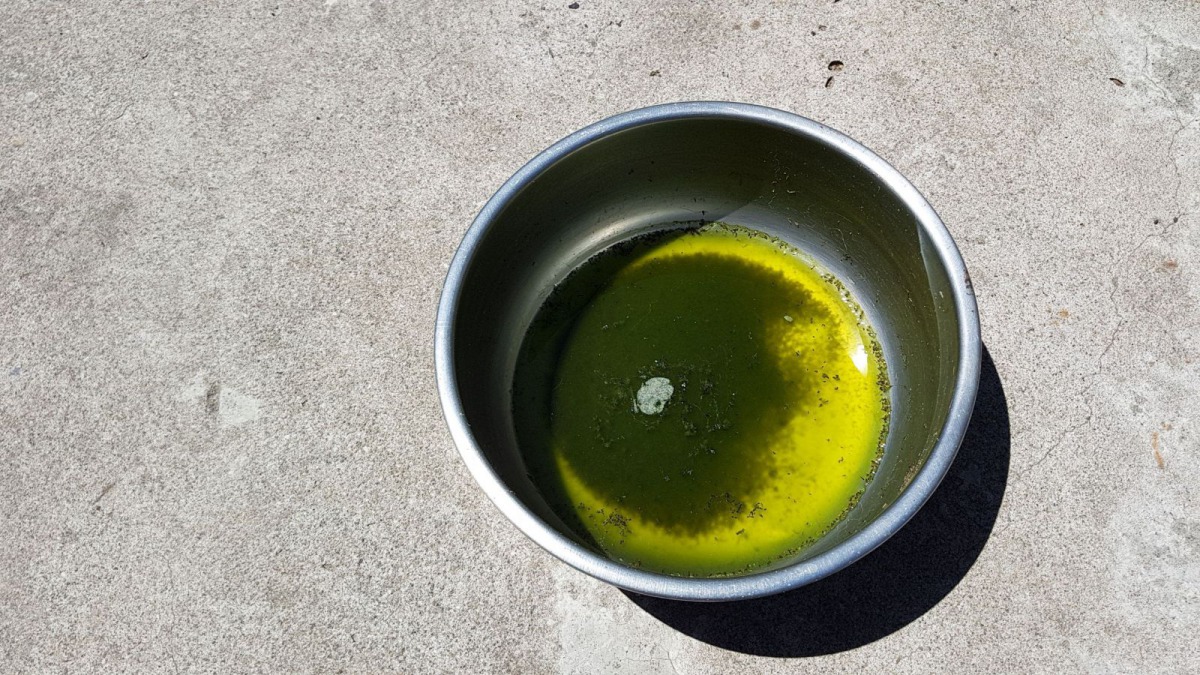 屋內沒有提供乾淨的飲水。新北市動保處/提供