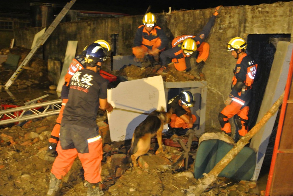 搜救犬「ysa」曾在台南維冠大樓的救災行動找出罹難者,圖為「ysa」與控犬員羅浩芳在2015年參與搜救演練。翻攝自新北消防發爾麵