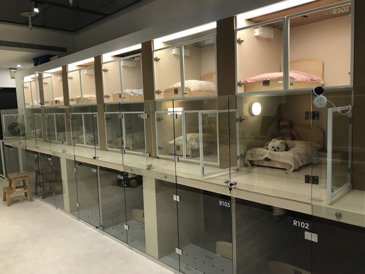 取得認證的動物安養機構，可依規定向動保處申請更新設備、人員及場所租金等補助。圖為臺北市動物安養機構-特定寵物業動物居住區，臺北市動保處/提供