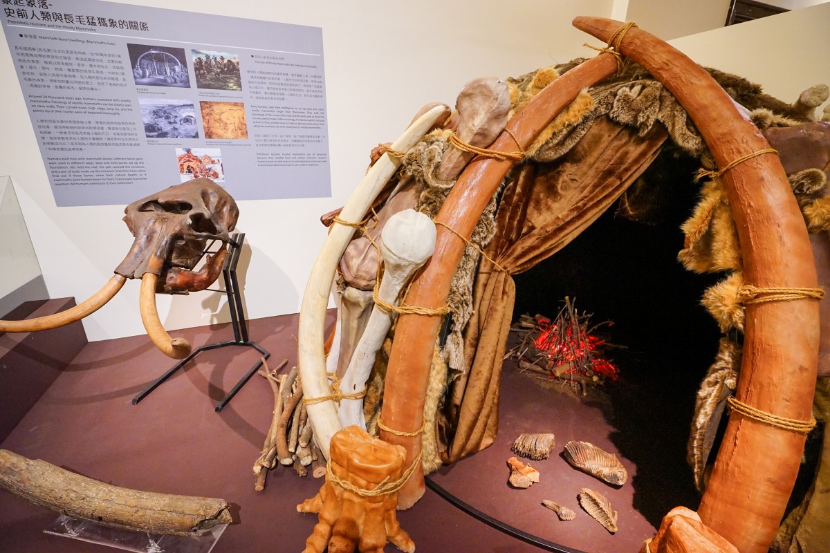 「小心!象出沒!」象群特展重建象骨屋模型。臺博館/提供