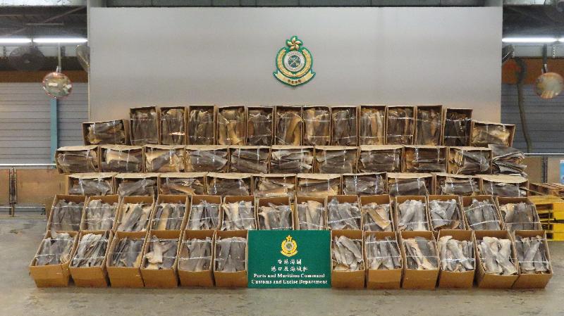 香港海關分別偵破兩宗走私魚翅案件，各約13公噸的受管制物種的乾魚翅被混雜在不受管制的乾魚翅中。圖為5月4日檢獲的懷疑受管制乾魚翅。圖片來源：香港政府新聞公報