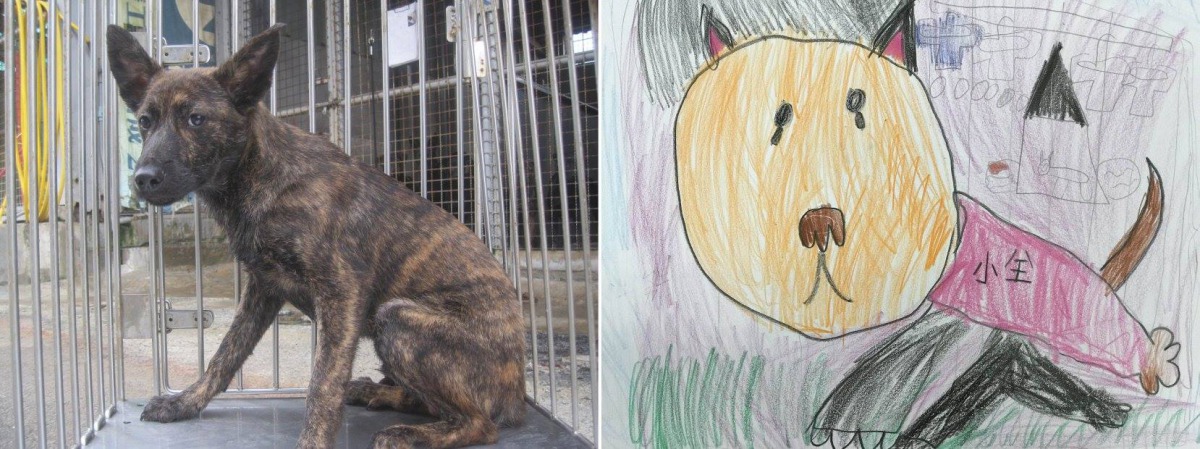 新市國小1年級的恬恬的畫作與留言：「我想把這隻狗狗取名做小全。親愛的小全，希望你可以不要一直待在籠子裡，請大家帶走他。」淡水動物之家/提供