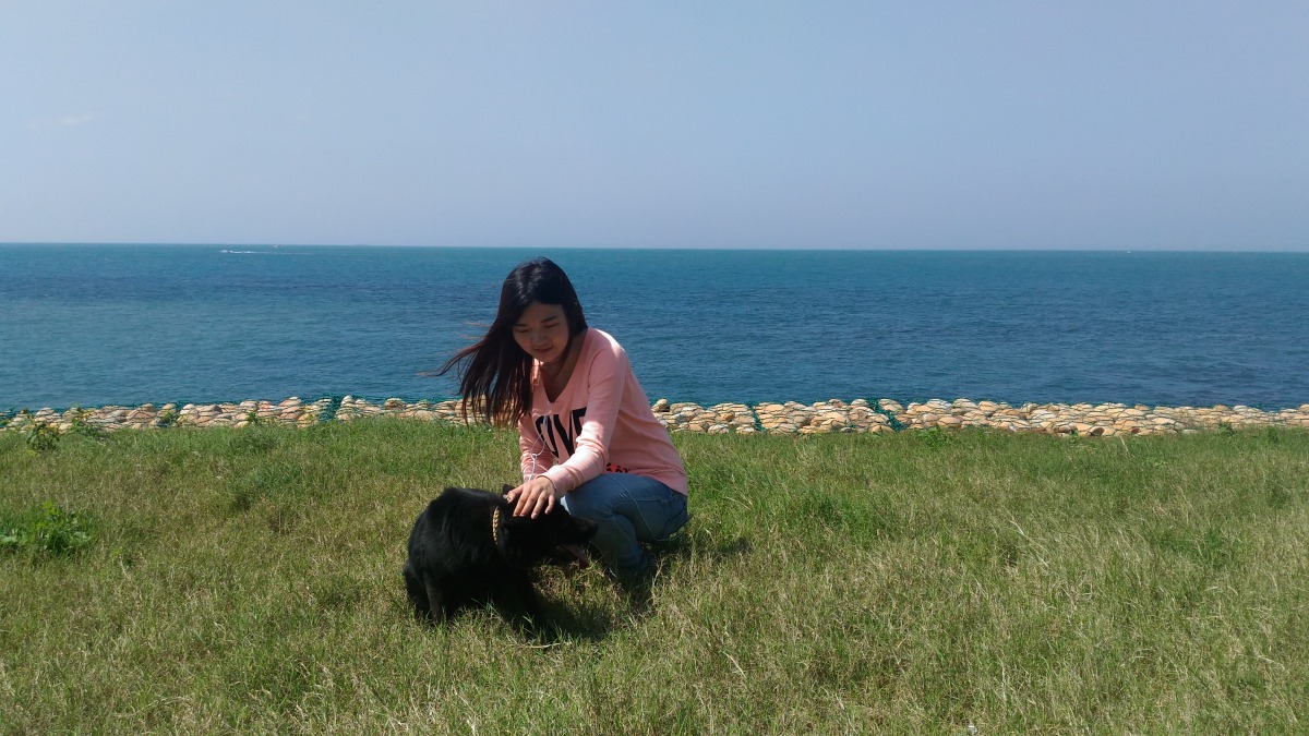 到動物之家當志工，發揮愛心也能療癒心情。新北市動保處/提供