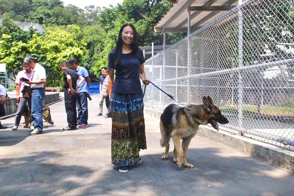 中籤的認養民眾帶除役犬散步。取自憲兵指揮部發言人臉書