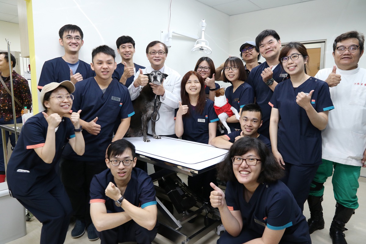 興大浪浪樂活醫療室醫療團隊。中興大學/提供