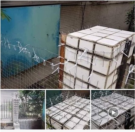 業者將鐵絲網照片與和街貓奮戰的圖文上傳於個任臉書。新北市動保處/提供
