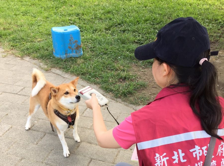新北市動保處人員於永和綠寶石寵物公園掃描晶片。新北市動保處/提供