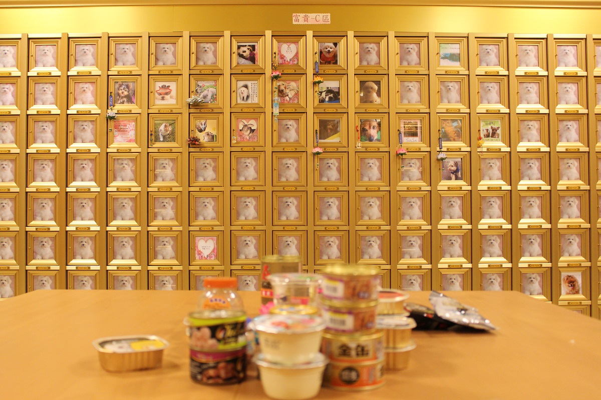 修正後的自治條例著重產業面的相關規範,將明文規定寵物身後事的相關細節。台灣動物新聞網資料照,何宜/攝