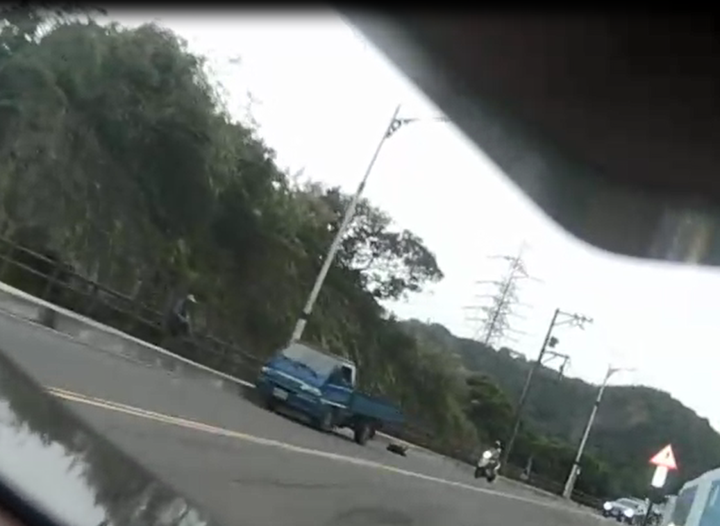 目擊民眾提供手機錄影資料與行車紀錄器畫面作為證據。基隆動保所/提供