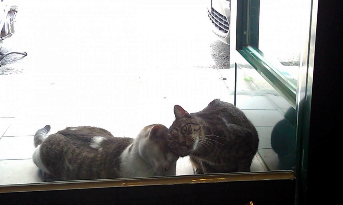 談起金寶教的事，阿敏說：「把握當下！珍惜愛你和你愛的人，沒有什麼比這個感受更需要實踐！」阿敏/提供