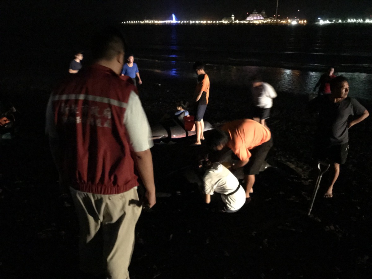 救援行動除了跟時間賽跑，也須降低作業音量、注意現場光源控制，儘可能避免會造成緊迫的因素。新北市動保處/提供