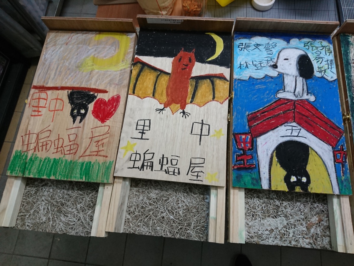 八里國中老師王俊凱參加蝙蝠協會的研習後，帶回蝙蝠屋並與師生們一起為蝙蝠造家。新北市動保處/提供