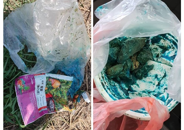 陳姓行為人以農藥拌豬肝製成毒餌，表示是因自家養的鴨子常遭到附近的狗咬死，才痛下毒手。彰化防疫所/提供