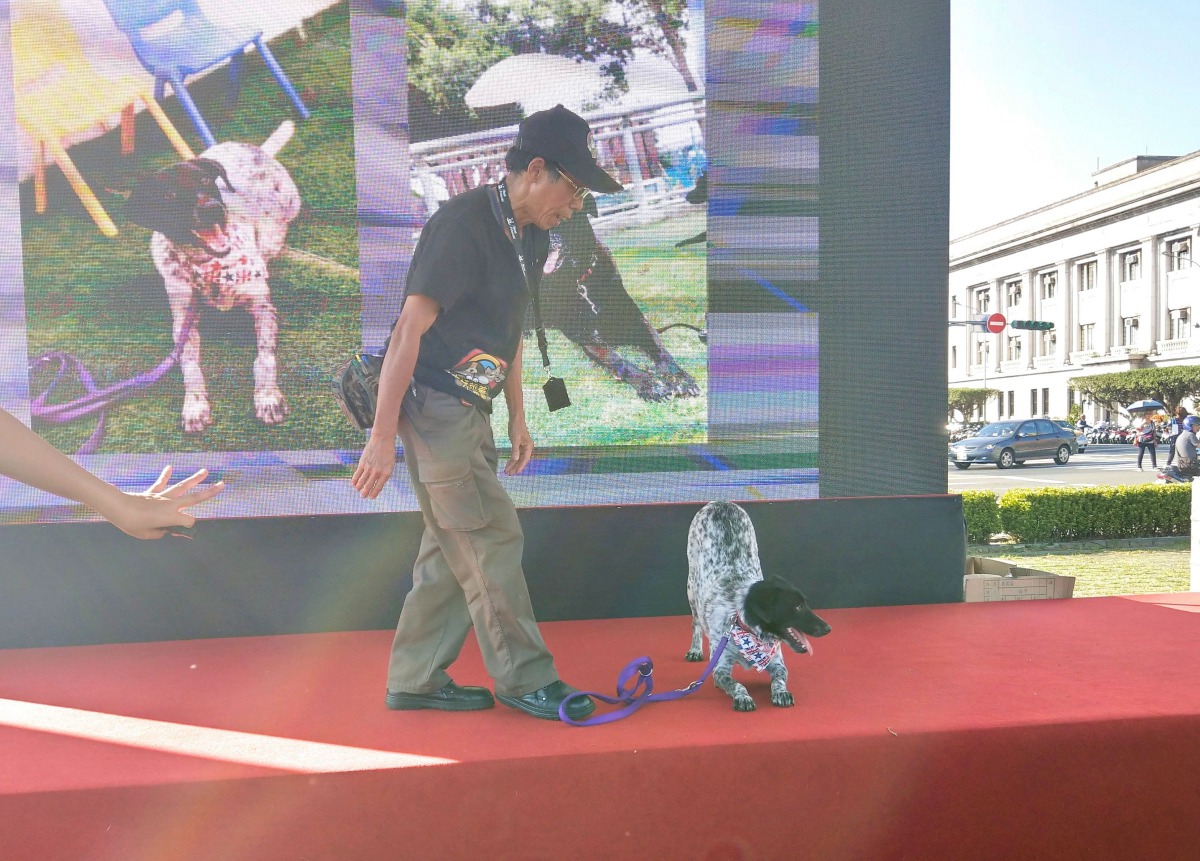 台中市動保處在「挺挺動物小學堂」中宣導認養米克斯的好處,並透過動物訓練成果展現米克斯的聰明與穩定性。陳璽安/攝