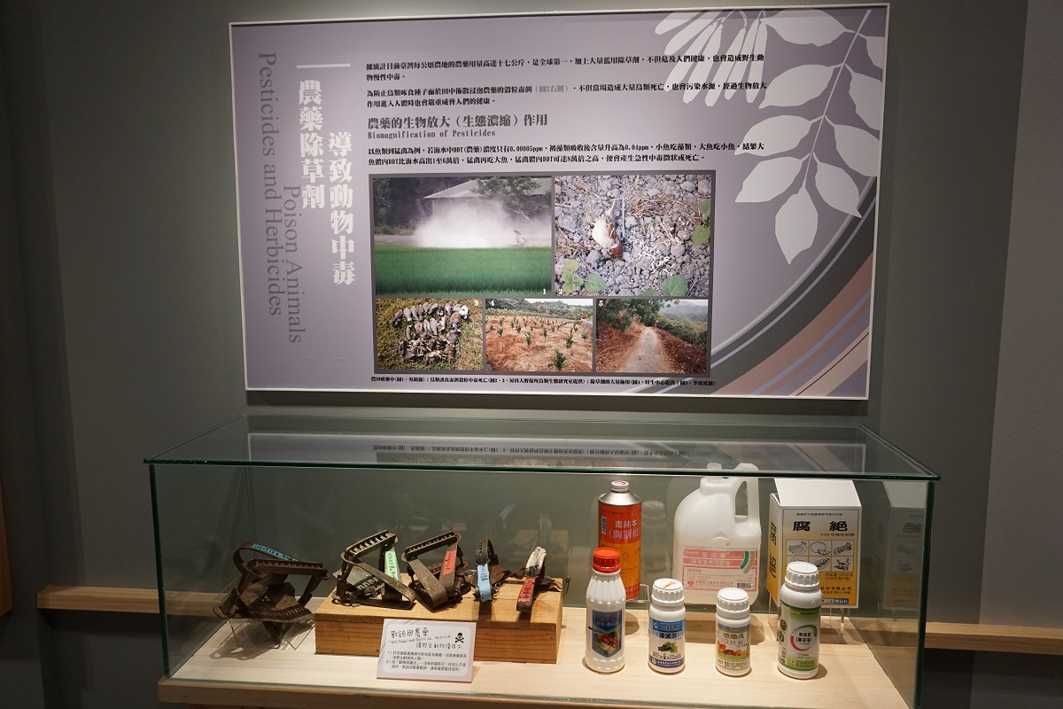 《石虎的美麗家園》特展規劃了六大主題，由淺入深引導民眾認識石虎以及牠們的處境。科博館/提供