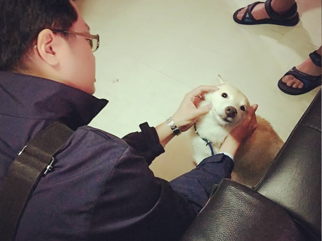 台北市動保處人員詳細檢查狗狗的身體狀況。台北市動保處/提供