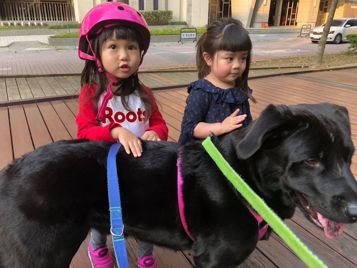 也帶「八樓」去找專業的訓犬老師上課。八樓不住八樓/提供