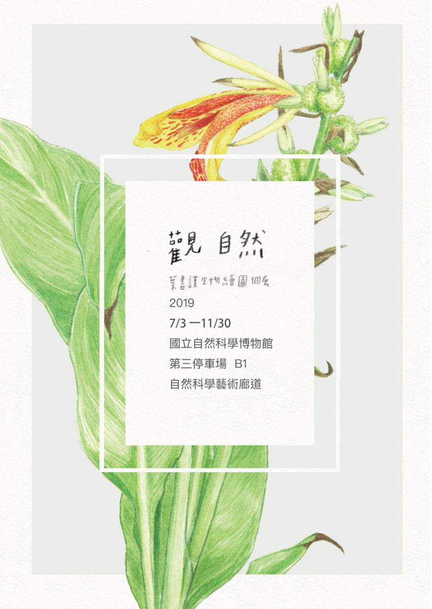今（2019）年7月，葉書謹將於國立自然科學博物館舉辦「觀 自然 葉書謹生物繪圖個展」。葉書謹/提供
