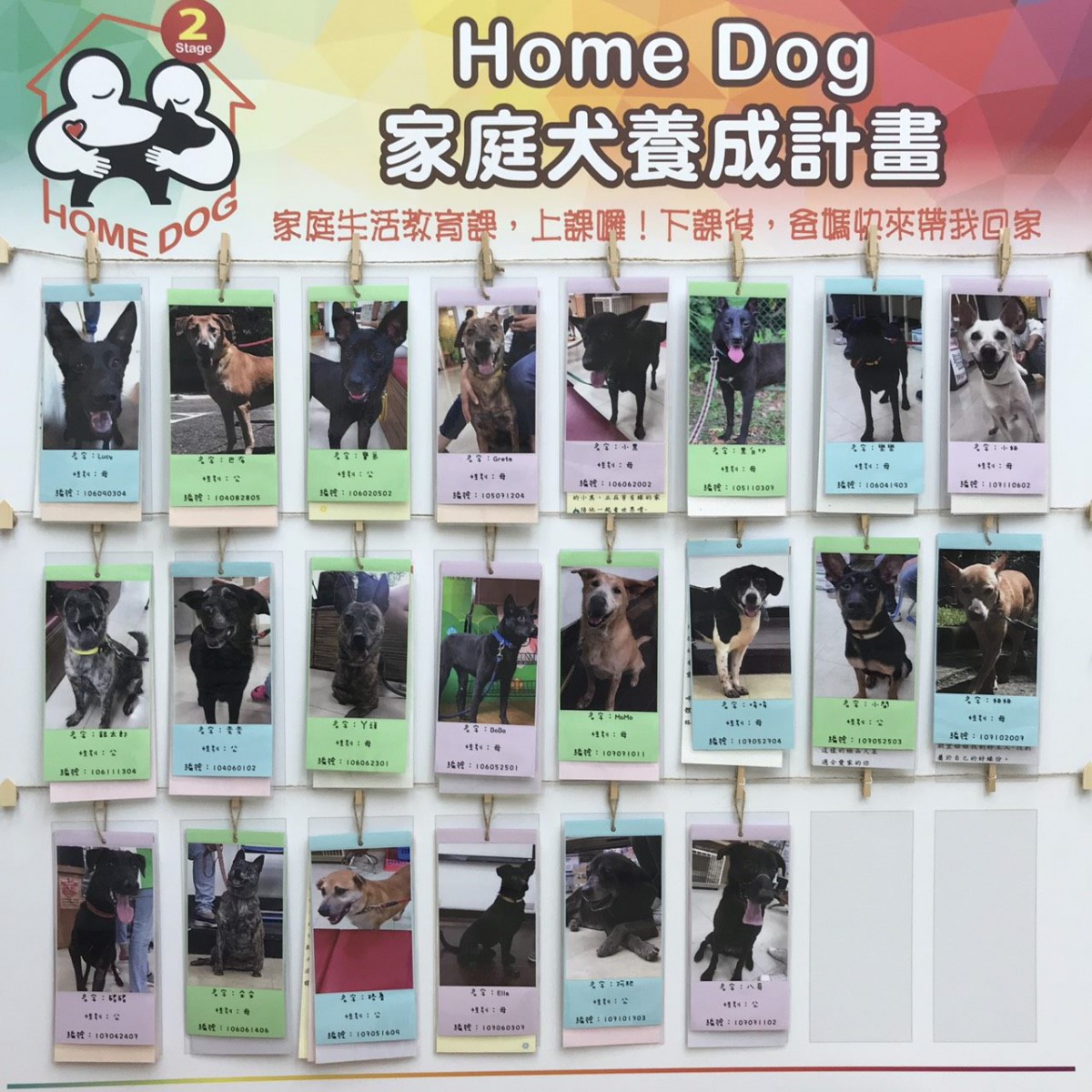 每一隻狗狗都有自己的個性，歡迎你來認識牠！台北市動保處/提供
