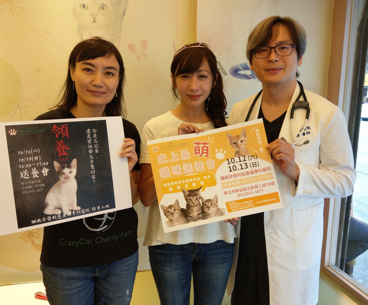 貓瘋協會與黃康泓院長在新店成立了全台第一家慈善動物醫院，今（12）、明（13）二日皆有送養活動，歡迎民眾前往。陳璽安/攝
