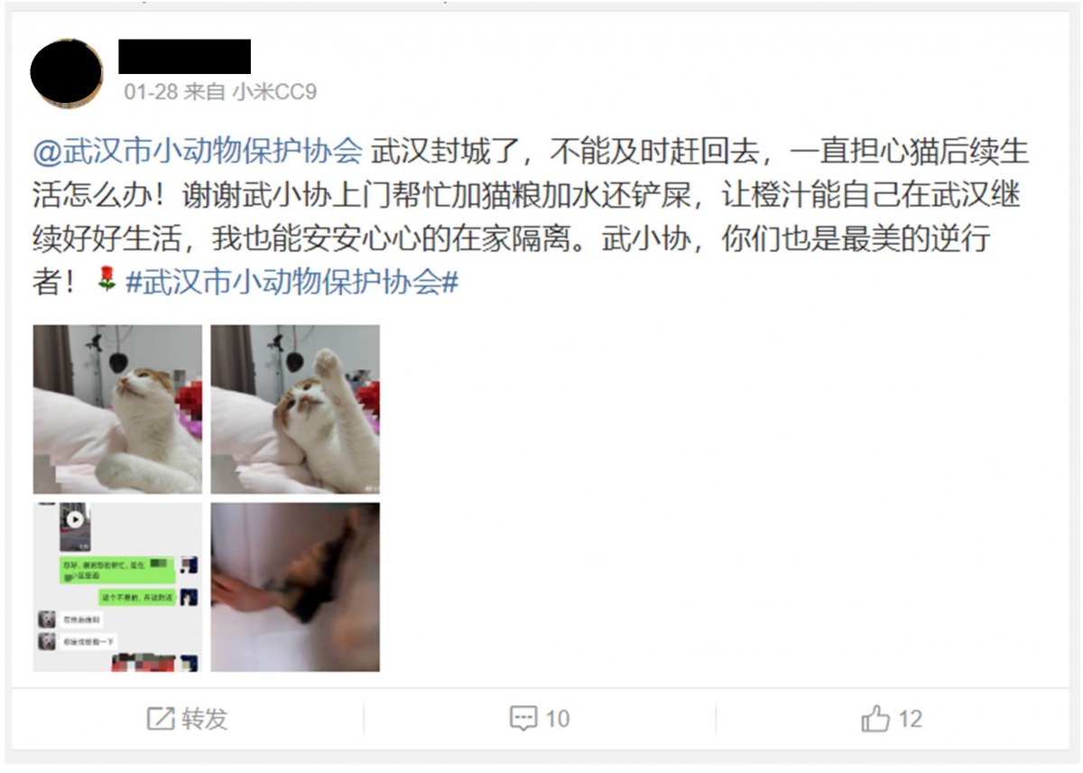 受惠飼主在微博上表達對武漢市小動物保護協會的感謝。翻攝網路畫面