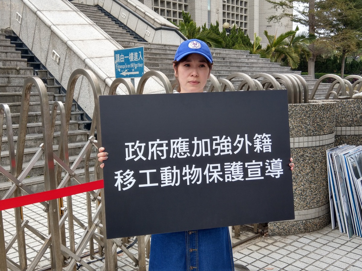 志工丸子藉由此案呼籲政府加強向移工宣導《動保法》,期許未來不要再有無辜的毛孩受害。陳璽安/攝