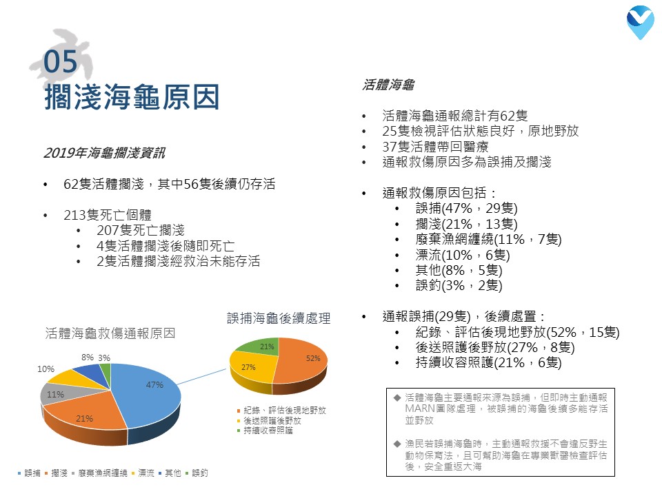 程一駿呼籲加強向漁民宣導誤捕後主動通報救援，以利改善誤捕不斷發生的狀況。翻攝自海保署《2019全年度海龜擱淺報告》