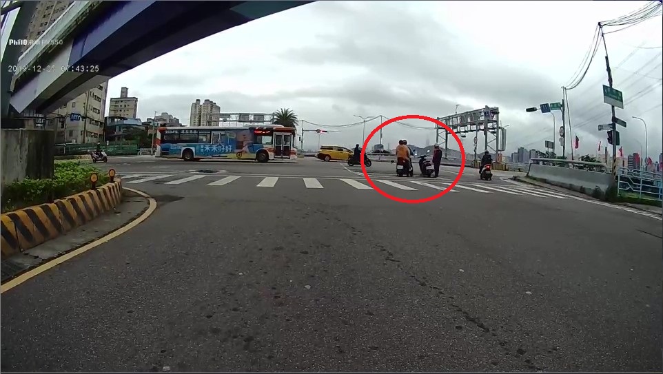 狗狗跑到對向車道。新北市動保處/提供