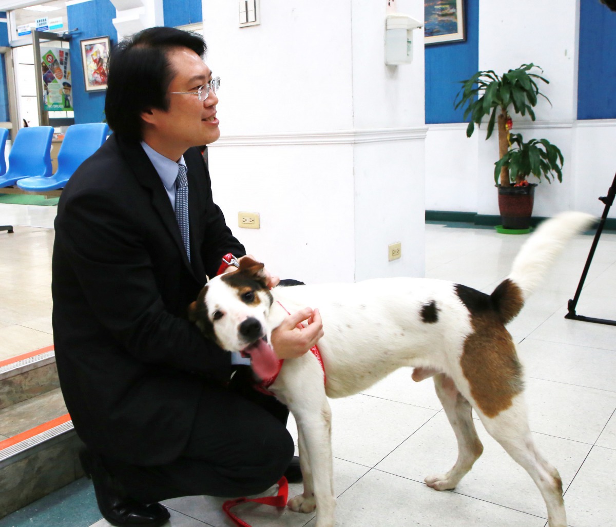 對於消防署的公文，受訪動保機關多表示不以為然；遭棄養的分隊犬「吉米」，已將由基隆市市長林右昌認養。基隆市政府/提供