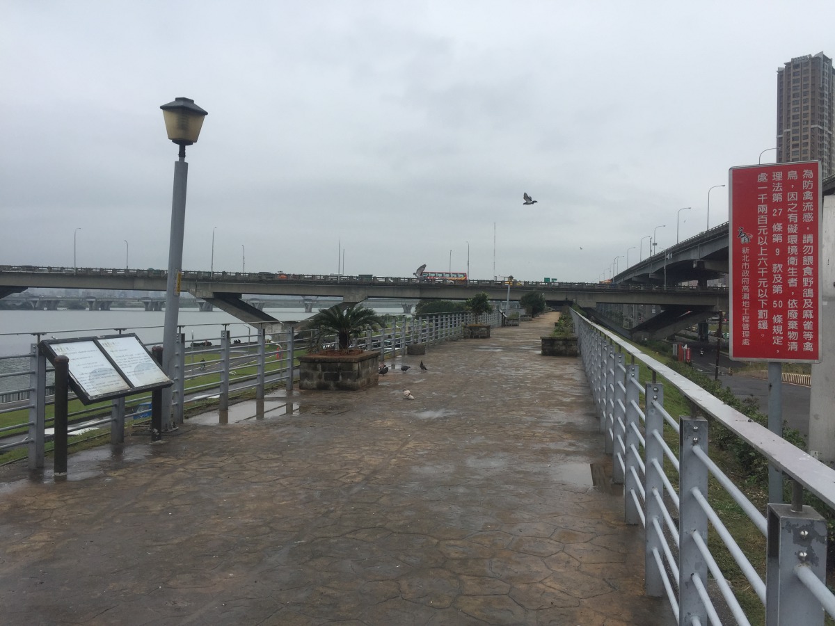 高灘地已設置禁止餵食禽鳥告示牌，請民眾配合。新北市動保處/提供