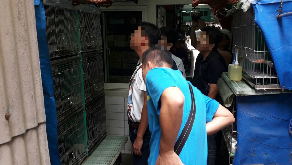 清查過濾鳥籠是否有保育類鳥類。保七第七大隊員/提供