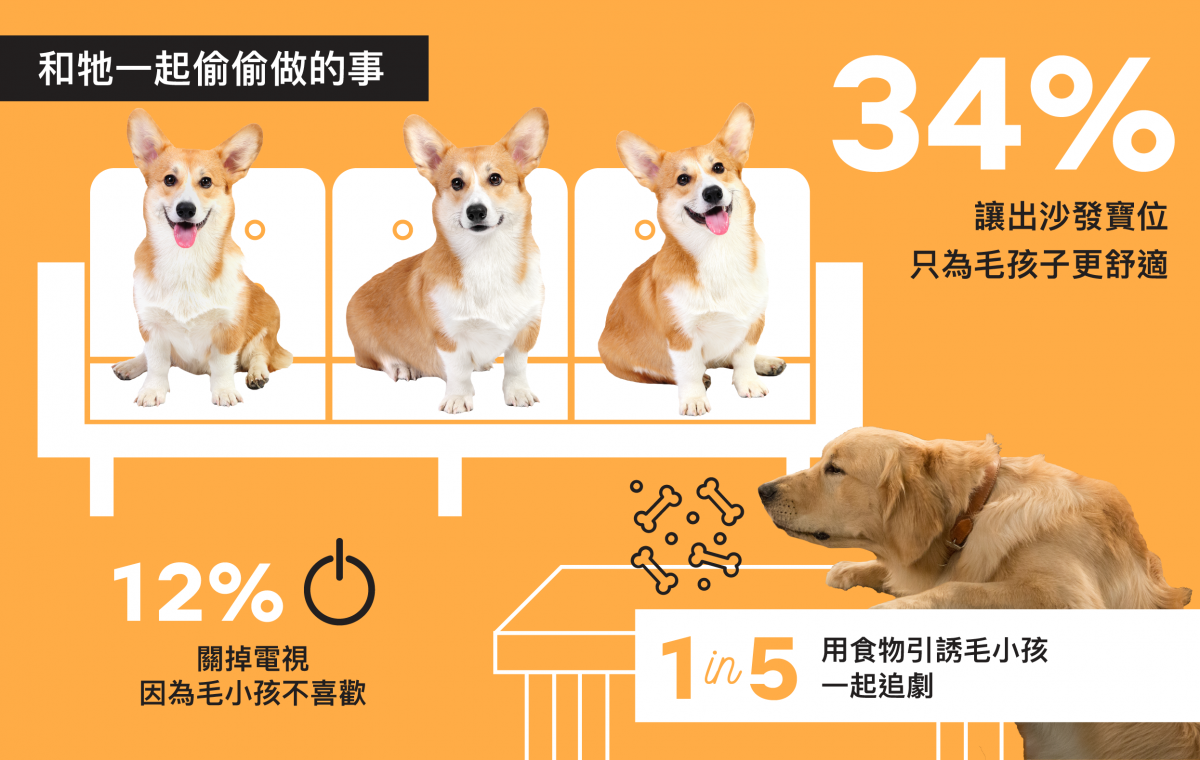 有37%受訪者表示自己追劇時會讓座給寵物，也有12%的手訪者表示會因為寵物不敢興趣而停止追劇。Netflix/提供