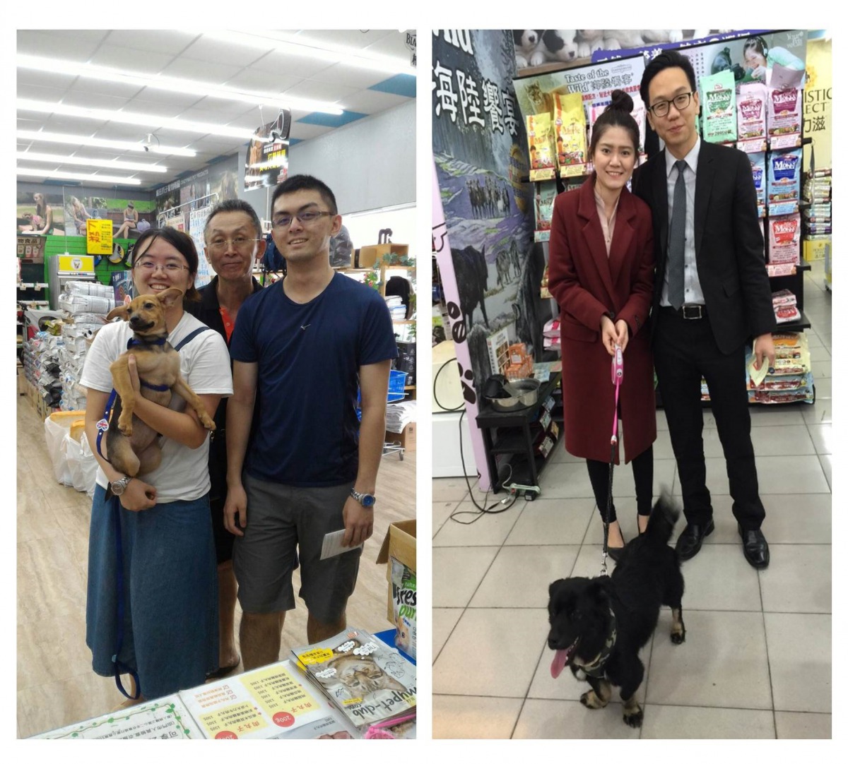 「益起認養吧」計畫讓民眾可以就近找尋看對眼的貓貓狗狗。台中市動保處/提供