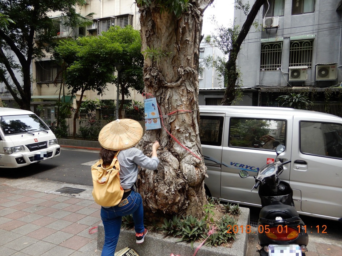台北市動保處派員前往台灣藍鵲活動區域張貼宣導海報。台北市動保處/提供