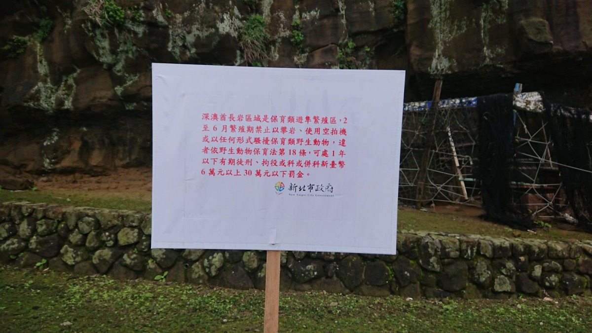 新北市動保處設立告示牌，提醒遊客切勿驚擾遊隼。新北市動保處/提供