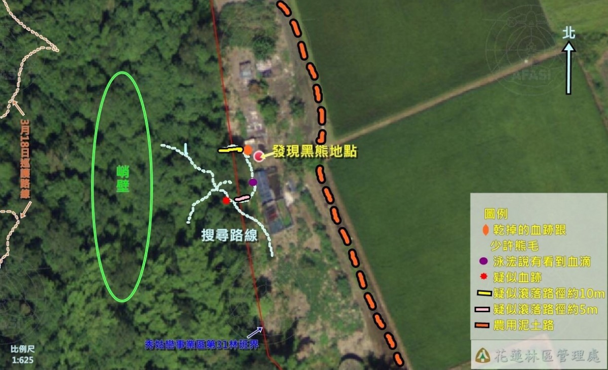 發現黑熊地點與搜尋路線。花蓮林管處/提供