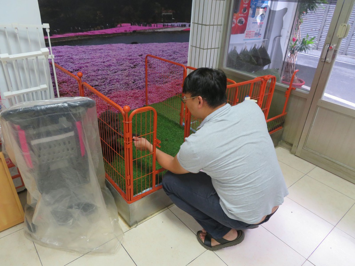 負責人廖先生和犬隻第1次接觸。新北市動保處/提供