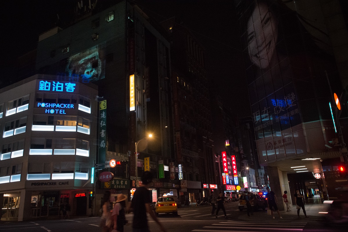 人類的活動已威脅許多動植物的生存，你找得到都市叢林裡的猩猩嗎？郭宗德/攝