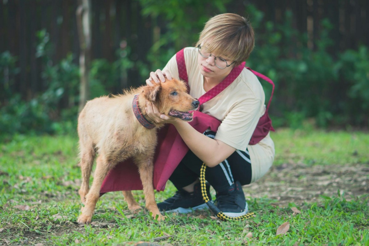 智老犬若不明原因朝空氣亂叫時需要適時前去安撫。新北市動保處/提供