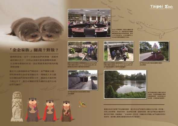 為了讓大小朋友更加認識珍貴稀有的歐亞水獺，台北市立動物園與文山區公所將於文山公民會館合辦「水獺甲霸力-歐亞水獺保育海報展」。台北市立動物園/提供