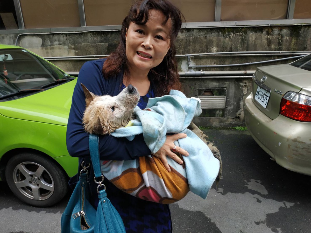 飼主與「雪莉」合照。新北市動保處/提供