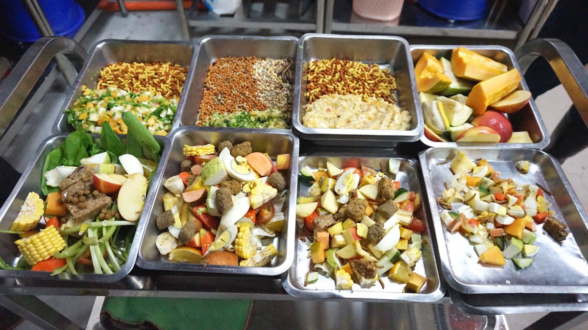 為了滿足館區內大大小小、各種動物的特殊需求,每一項食材該怎麼切可是大有學問呢!台北市立動物園/提供